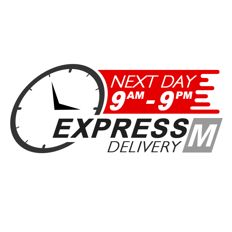 Express-Delivery-Service-Icon-Middle